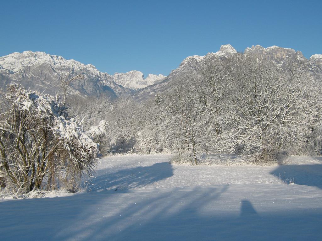 B&B Col Del Vin Belluno Exterior foto