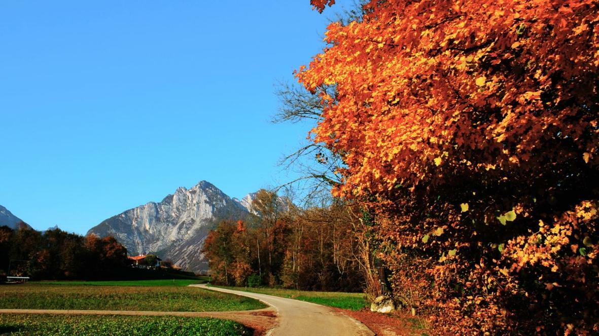 B&B Col Del Vin Belluno Exterior foto