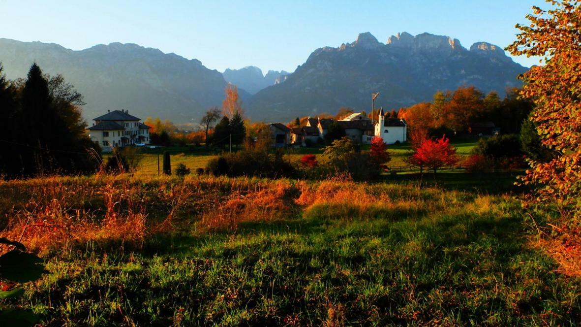 B&B Col Del Vin Belluno Exterior foto