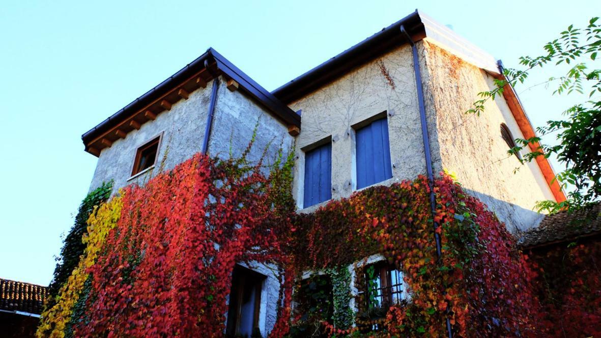 B&B Col Del Vin Belluno Exterior foto