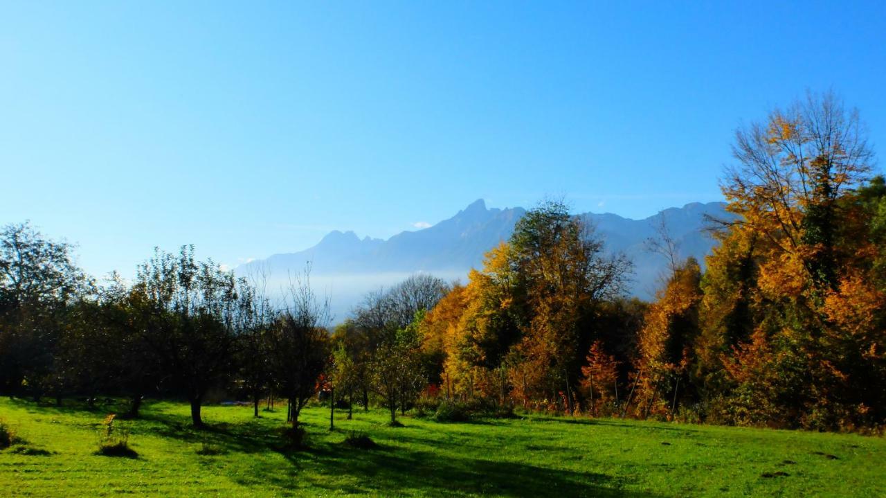B&B Col Del Vin Belluno Exterior foto